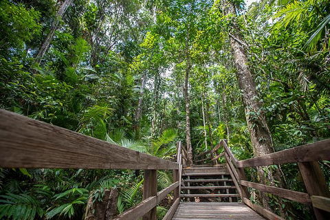 Daintree Rainforest, Cape Tribulation And Bloomfield Track Small Group Tour - VIC Tourism 13