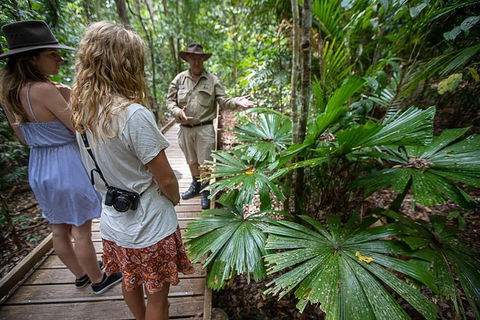Daintree Rainforest, Cape Tribulation And Bloomfield Track Small Group Tour - VIC Tourism 12