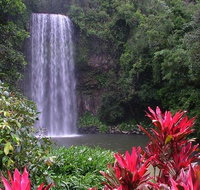 The Original Day Tour to Paronella Park Lake Barrine and Millaa Millaa Falls - VIC Tourism