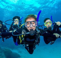 Great Barrier Reef Diving and Snorkeling Cruise from Cairns - VIC Tourism