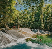 Atherton Tablelands Waterfalls and Rainforest Day Tour Departing Cairns - VIC Tourism
