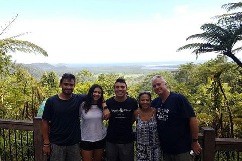 Small Group Daintree Rainforest Tour - VIC Tourism 5