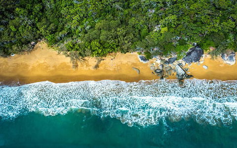 Small Group Daintree Rainforest Tour - VIC Tourism 4