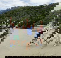 Small Group Daintree Rainforest Tour - VIC Tourism