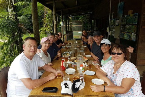 Small Group Daintree Rainforest Tour - VIC Tourism 1