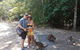 Small Group Daintree Rainforest Tour - thumb 6