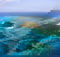 Great Barrier Reef High-Wing Scenic Flight from Cairns - VIC Tourism
