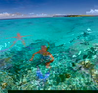 Green Island Discovery Including Glass Bottom Boat Tour Departing Cairns - VIC Tourism