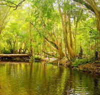 Private Half Day Tour Exclusive World Heritage Rainforest and Waterfall Tour from Cairns - VIC Tourism