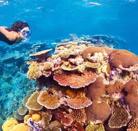 6-Day Best of Cairns Including the Great Barrier Reef Kuranda and the Daintree Rainforest - VIC Tourism
