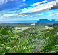 Private Daintree National Park Day Tour from Cairns Including Cape Tribulation and Mossman Gorge - VIC Tourism