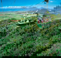 Skyrail Rainforest Cableway Day Trip from Cairns - VIC Tourism