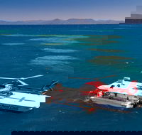 Scenic Helicopter Flight to Moore Reef and Return Snorkeling Cruise from Cairns - VIC Tourism