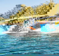 Gold Coast Quack'rDuck Amphibious Tour from Surfers Paradise - VIC Tourism