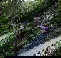 4-Day Cairns with Great Barrier Reef and Daintree Rainforest - VIC Tourism