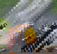 Small Group Tour Max 6 Gold Coast Super 7 Waterfalls Tour Springbrook - VIC Tourism