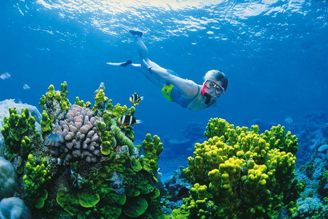 Full Day Snorkel In The Great Barrier Reef - VIC Tourism 0