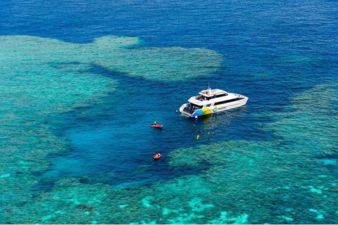 Full Day Snorkel In The Great Barrier Reef - VIC Tourism 6