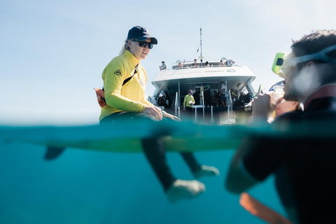 Full Day Snorkel In The Great Barrier Reef - VIC Tourism 7