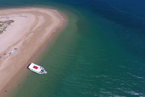 Fozzy\'s 3 Hour, 3 Island Tour - VIC Tourism 3