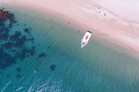 Fozzy\'s 3 Hour, 3 Island Tour - VIC Tourism 0