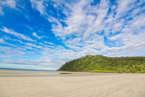 Daintree Afternoon Nocturnal Nature And Wildlife Tour - VIC Tourism 8