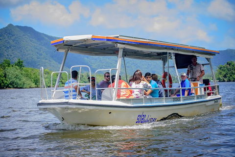 Daintree Afternoon Nocturnal Nature And Wildlife Tour - VIC Tourism 6