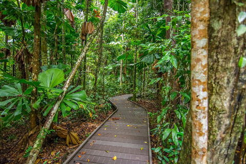 Daintree Afternoon Nocturnal Nature And Wildlife Tour - VIC Tourism 9