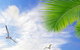 Airport Transfer - Mission Beach To Cairns Airport - thumb 4