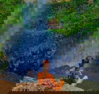 Private Tour - Rainforest  Waterfalls Extravaganza - VIC Tourism