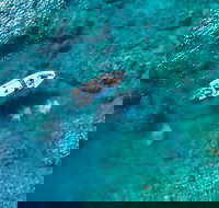 Premium Private Charter - VIC Tourism