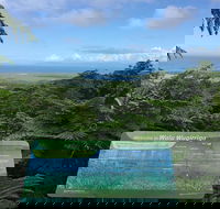 Daintree Luxury Limousine Tour - Full Day - VIC Tourism