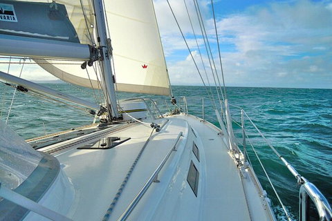 Sailing Curlew Escape On Moreton Bay - VIC Tourism 7