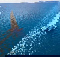 2-Night Whitsunday Islands Sailing Adventure on Trimaran 'Avatar' - VIC Tourism