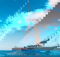 3 Day and 2 Night Whitsundays Maxi Sailing Adventure on Hammer - VIC Tourism