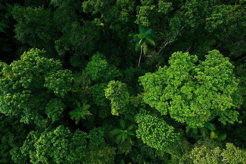 Cairns & Port Douglas All-Inclusive 7 Days Touring Package - VIC Tourism 3