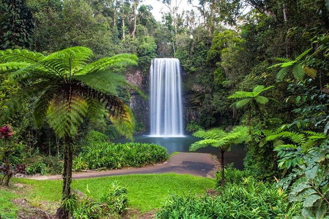 Cairns & Port Douglas All-Inclusive 7 Days Touring Package - VIC Tourism 5