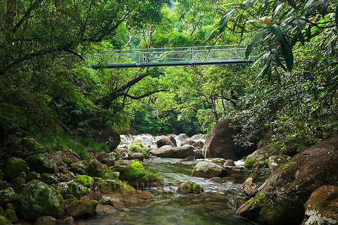 SHUTTLE - Mossman Gorge & Cooya Beach From Port Douglas (Return Transfer) - VIC Tourism 4