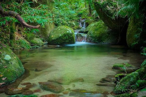 SHUTTLE - Mossman Gorge & Cooya Beach From Port Douglas (Return Transfer) - VIC Tourism 2