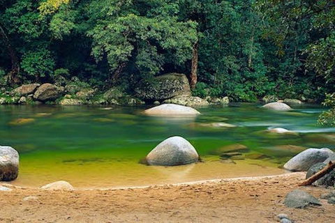 SHUTTLE - Mossman Gorge & Cooya Beach From Port Douglas (Return Transfer) - VIC Tourism 1