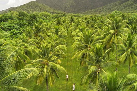 SHUTTLE - Thala Beach And Turtle Cove From Port Douglas (Return Transfer) - VIC Tourism 1