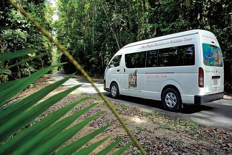 Rainforest & Nocturnal Wildlife Tour - VIC Tourism 1