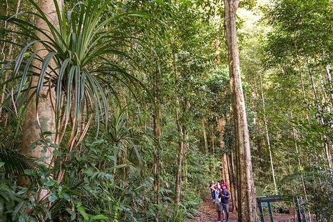 Rainforest & Nocturnal Wildlife Tour - VIC Tourism 5