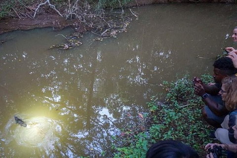 Rainforest & Nocturnal Wildlife Tour - VIC Tourism 3