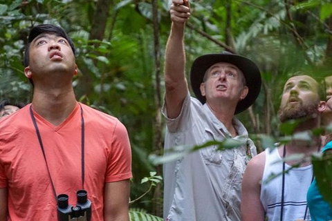 Rainforest & Nocturnal Wildlife Tour - VIC Tourism 2