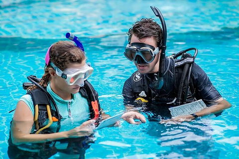 PADI Diving Courses On The Gold Coast - VIC Tourism 0