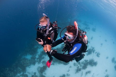 PADI Diving Courses On The Gold Coast - VIC Tourism 5