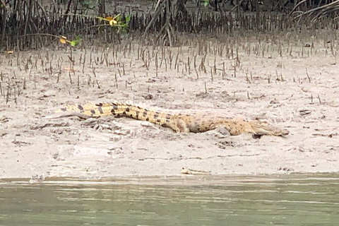 Hinchinbrook Island Tour - VIC Tourism 2