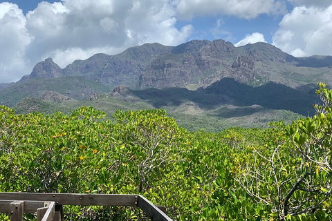 Hinchinbrook Island Tour - VIC Tourism 0