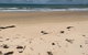 Hinchinbrook Island Tour - thumb 6